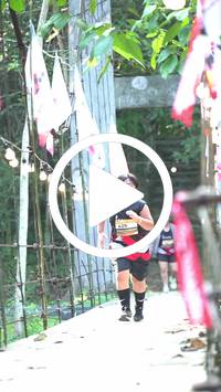 BIB:  <button type="button" onclick="openModal(27920552)" class="btn btn-primary btn-sm float-right" data-toggle="modal" data-target=".modal-high-quality">
                <i class="fa fa-download"></i> Download
                </button>