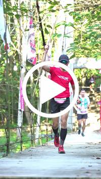 BIB:  <button type="button" onclick="openModal(27929233)" class="btn btn-primary btn-sm float-right" data-toggle="modal" data-target=".modal-high-quality">
                <i class="fa fa-download"></i> Download
                </button>