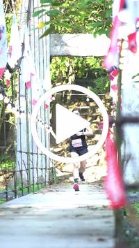 BIB:  <button type="button" onclick="openModal(27928644)" class="btn btn-primary btn-sm float-right" data-toggle="modal" data-target=".modal-high-quality">
                <i class="fa fa-download"></i> Download
                </button>