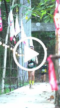 BIB:  <button type="button" onclick="openModal(27920650)" class="btn btn-primary btn-sm float-right" data-toggle="modal" data-target=".modal-high-quality">
                <i class="fa fa-download"></i> Download
                </button>