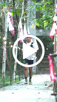 BIB:  <button type="button" onclick="openModal(27920603)" class="btn btn-primary btn-sm float-right" data-toggle="modal" data-target=".modal-high-quality">
                <i class="fa fa-download"></i> Download
                </button>