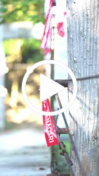 BIB:  <button type="button" onclick="openModal(27928269)" class="btn btn-primary btn-sm float-right" data-toggle="modal" data-target=".modal-high-quality">
                <i class="fa fa-download"></i> Download
                </button>