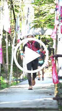 BIB:  <button type="button" onclick="openModal(27942967)" class="btn btn-primary btn-sm float-right" data-toggle="modal" data-target=".modal-high-quality">
                <i class="fa fa-download"></i> Download
                </button>