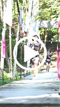 BIB:  <button type="button" onclick="openModal(27945615)" class="btn btn-primary btn-sm float-right" data-toggle="modal" data-target=".modal-high-quality">
                <i class="fa fa-download"></i> Download
                </button>