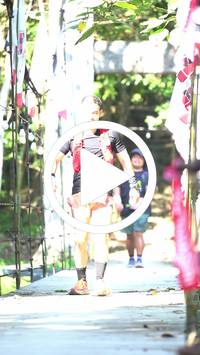 BIB:  <button type="button" onclick="openModal(27937423)" class="btn btn-primary btn-sm float-right" data-toggle="modal" data-target=".modal-high-quality">
                <i class="fa fa-download"></i> Download
                </button>