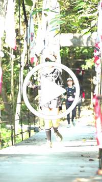 BIB:  <button type="button" onclick="openModal(27941793)" class="btn btn-primary btn-sm float-right" data-toggle="modal" data-target=".modal-high-quality">
                <i class="fa fa-download"></i> Download
                </button>