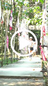 BIB:  <button type="button" onclick="openModal(27969077)" class="btn btn-primary btn-sm float-right" data-toggle="modal" data-target=".modal-high-quality">
                <i class="fa fa-download"></i> Download
                </button>