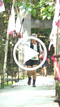 BIB:  <button type="button" onclick="openModal(27967684)" class="btn btn-primary btn-sm float-right" data-toggle="modal" data-target=".modal-high-quality">
                <i class="fa fa-download"></i> Download
                </button>