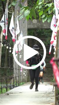 BIB:  <button type="button" onclick="openModal(27970309)" class="btn btn-primary btn-sm float-right" data-toggle="modal" data-target=".modal-high-quality">
                <i class="fa fa-download"></i> Download
                </button>