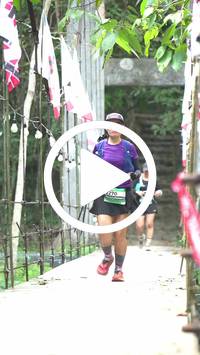 BIB:  <button type="button" onclick="openModal(27969488)" class="btn btn-primary btn-sm float-right" data-toggle="modal" data-target=".modal-high-quality">
                <i class="fa fa-download"></i> Download
                </button>