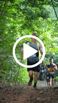 BIB:  <button type="button" onclick="openModal(27915741)" class="btn btn-primary btn-sm float-right" data-toggle="modal" data-target=".modal-high-quality">
                <i class="fa fa-download"></i> Download
                </button>