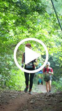 BIB:  <button type="button" onclick="openModal(27915862)" class="btn btn-primary btn-sm float-right" data-toggle="modal" data-target=".modal-high-quality">
                <i class="fa fa-download"></i> Download
                </button>