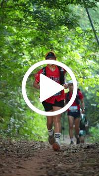 BIB:  <button type="button" onclick="openModal(27915731)" class="btn btn-primary btn-sm float-right" data-toggle="modal" data-target=".modal-high-quality">
                <i class="fa fa-download"></i> Download
                </button>