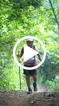 BIB:  <button type="button" onclick="openModal(27915929)" class="btn btn-primary btn-sm float-right" data-toggle="modal" data-target=".modal-high-quality">
                <i class="fa fa-download"></i> Download
                </button>