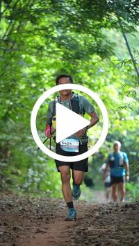 BIB:  <button type="button" onclick="openModal(27915784)" class="btn btn-primary btn-sm float-right" data-toggle="modal" data-target=".modal-high-quality">
                <i class="fa fa-download"></i> Download
                </button>