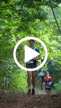 BIB:  <button type="button" onclick="openModal(27915704)" class="btn btn-primary btn-sm float-right" data-toggle="modal" data-target=".modal-high-quality">
                <i class="fa fa-download"></i> Download
                </button>