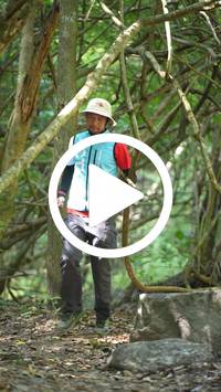 BIB:  <button type="button" onclick="openModal(27915672)" class="btn btn-primary btn-sm float-right" data-toggle="modal" data-target=".modal-high-quality">
                <i class="fa fa-download"></i> Download
                </button>