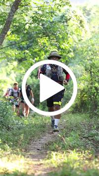 BIB:  <button type="button" onclick="openModal(28004720)" class="btn btn-primary btn-sm float-right" data-toggle="modal" data-target=".modal-high-quality">
                <i class="fa fa-download"></i> Download
                </button>