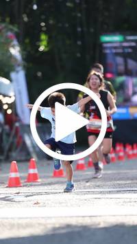 BIB:  <button type="button" onclick="openModal(28005961)" class="btn btn-primary btn-sm float-right" data-toggle="modal" data-target=".modal-high-quality">
                <i class="fa fa-download"></i> Download
                </button>