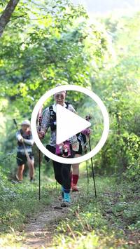 BIB:  <button type="button" onclick="openModal(28004966)" class="btn btn-primary btn-sm float-right" data-toggle="modal" data-target=".modal-high-quality">
                <i class="fa fa-download"></i> Download
                </button>