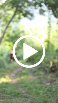 BIB:  <button type="button" onclick="openModal(28003806)" class="btn btn-primary btn-sm float-right" data-toggle="modal" data-target=".modal-high-quality">
                <i class="fa fa-download"></i> Download
                </button>