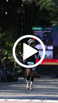 BIB:  <button type="button" onclick="openModal(28012785)" class="btn btn-primary btn-sm float-right" data-toggle="modal" data-target=".modal-high-quality">
                <i class="fa fa-download"></i> Download
                </button>