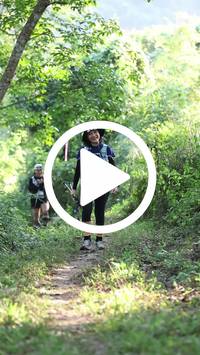 BIB:  <button type="button" onclick="openModal(28005202)" class="btn btn-primary btn-sm float-right" data-toggle="modal" data-target=".modal-high-quality">
                <i class="fa fa-download"></i> Download
                </button>