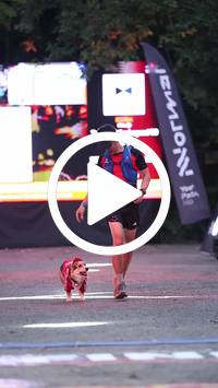 BIB:  <button type="button" onclick="openModal(28162024)" class="btn btn-primary btn-sm float-right" data-toggle="modal" data-target=".modal-high-quality">
                <i class="fa fa-download"></i> Download
                </button>