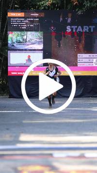 BIB:  <button type="button" onclick="openModal(28041850)" class="btn btn-primary btn-sm float-right" data-toggle="modal" data-target=".modal-high-quality">
                <i class="fa fa-download"></i> Download
                </button>