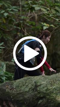 BIB:  <button type="button" onclick="openModal(27946241)" class="btn btn-primary btn-sm float-right" data-toggle="modal" data-target=".modal-high-quality">
                <i class="fa fa-download"></i> Download
                </button>