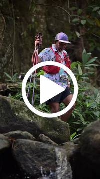 BIB:  <button type="button" onclick="openModal(27945582)" class="btn btn-primary btn-sm float-right" data-toggle="modal" data-target=".modal-high-quality">
                <i class="fa fa-download"></i> Download
                </button>