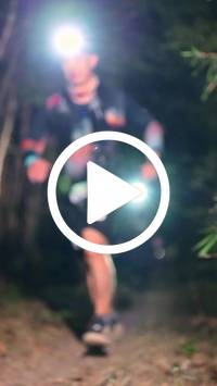 BIB:  <button type="button" onclick="openModal(27961033)" class="btn btn-primary btn-sm float-right" data-toggle="modal" data-target=".modal-high-quality">
                <i class="fa fa-download"></i> Download
                </button>