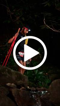 BIB:  <button type="button" onclick="openModal(27947196)" class="btn btn-primary btn-sm float-right" data-toggle="modal" data-target=".modal-high-quality">
                <i class="fa fa-download"></i> Download
                </button>