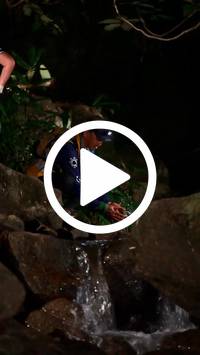 BIB:  <button type="button" onclick="openModal(27948581)" class="btn btn-primary btn-sm float-right" data-toggle="modal" data-target=".modal-high-quality">
                <i class="fa fa-download"></i> Download
                </button>