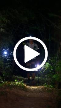 BIB:  <button type="button" onclick="openModal(27960433)" class="btn btn-primary btn-sm float-right" data-toggle="modal" data-target=".modal-high-quality">
                <i class="fa fa-download"></i> Download
                </button>