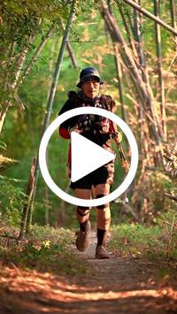 BIB:  <button type="button" onclick="openModal(27964584)" class="btn btn-primary btn-sm float-right" data-toggle="modal" data-target=".modal-high-quality">
                <i class="fa fa-download"></i> Download
                </button>