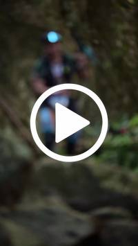 BIB:  <button type="button" onclick="openModal(27945431)" class="btn btn-primary btn-sm float-right" data-toggle="modal" data-target=".modal-high-quality">
                <i class="fa fa-download"></i> Download
                </button>