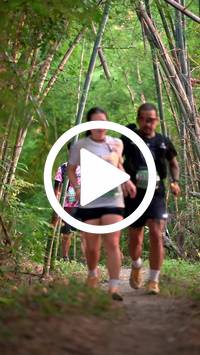 BIB:  <button type="button" onclick="openModal(27963339)" class="btn btn-primary btn-sm float-right" data-toggle="modal" data-target=".modal-high-quality">
                <i class="fa fa-download"></i> Download
                </button>