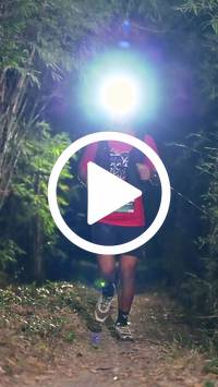 BIB:  <button type="button" onclick="openModal(27960102)" class="btn btn-primary btn-sm float-right" data-toggle="modal" data-target=".modal-high-quality">
                <i class="fa fa-download"></i> Download
                </button>