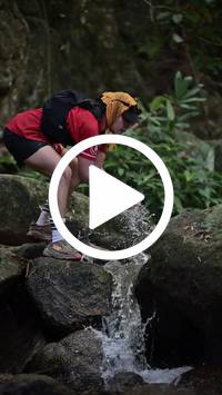 BIB:  <button type="button" onclick="openModal(27944263)" class="btn btn-primary btn-sm float-right" data-toggle="modal" data-target=".modal-high-quality">
                <i class="fa fa-download"></i> Download
                </button>