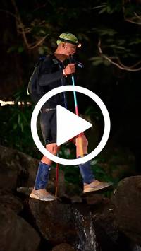 BIB:  <button type="button" onclick="openModal(27948471)" class="btn btn-primary btn-sm float-right" data-toggle="modal" data-target=".modal-high-quality">
                <i class="fa fa-download"></i> Download
                </button>