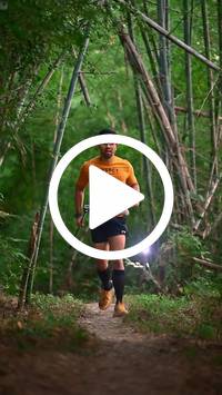 BIB:  <button type="button" onclick="openModal(27962324)" class="btn btn-primary btn-sm float-right" data-toggle="modal" data-target=".modal-high-quality">
                <i class="fa fa-download"></i> Download
                </button>