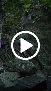 BIB:  <button type="button" onclick="openModal(27943097)" class="btn btn-primary btn-sm float-right" data-toggle="modal" data-target=".modal-high-quality">
                <i class="fa fa-download"></i> Download
                </button>