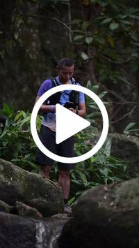 BIB:  <button type="button" onclick="openModal(27944053)" class="btn btn-primary btn-sm float-right" data-toggle="modal" data-target=".modal-high-quality">
                <i class="fa fa-download"></i> Download
                </button>