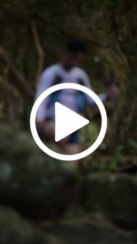 BIB:  <button type="button" onclick="openModal(27945689)" class="btn btn-primary btn-sm float-right" data-toggle="modal" data-target=".modal-high-quality">
                <i class="fa fa-download"></i> Download
                </button>