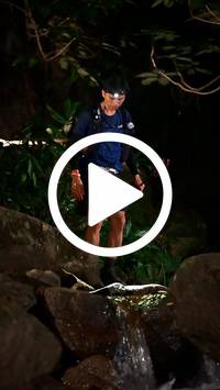 BIB:  <button type="button" onclick="openModal(27948417)" class="btn btn-primary btn-sm float-right" data-toggle="modal" data-target=".modal-high-quality">
                <i class="fa fa-download"></i> Download
                </button>