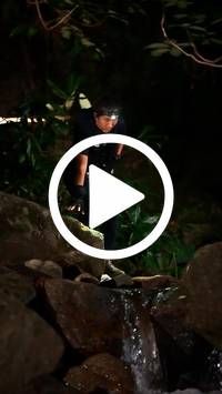 BIB:  <button type="button" onclick="openModal(27948103)" class="btn btn-primary btn-sm float-right" data-toggle="modal" data-target=".modal-high-quality">
                <i class="fa fa-download"></i> Download
                </button>