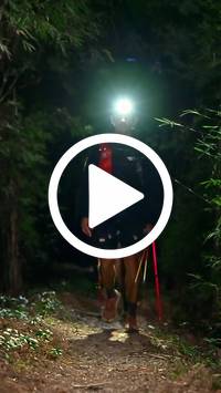 BIB:  <button type="button" onclick="openModal(27960314)" class="btn btn-primary btn-sm float-right" data-toggle="modal" data-target=".modal-high-quality">
                <i class="fa fa-download"></i> Download
                </button>