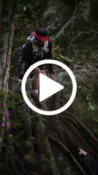 BIB:  <button type="button" onclick="openModal(27946333)" class="btn btn-primary btn-sm float-right" data-toggle="modal" data-target=".modal-high-quality">
                <i class="fa fa-download"></i> Download
                </button>