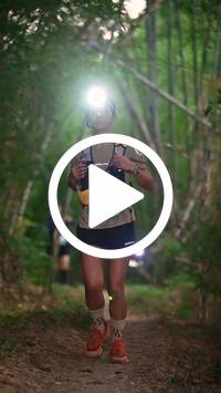 BIB:  <button type="button" onclick="openModal(27962126)" class="btn btn-primary btn-sm float-right" data-toggle="modal" data-target=".modal-high-quality">
                <i class="fa fa-download"></i> Download
                </button>